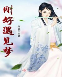 刚好遇见梦小说阅读