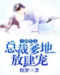 天降萌宝：总裁爹地放肆宠小说阅读