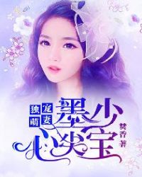 独宠萌妻，墨少心尖宝小说阅读
