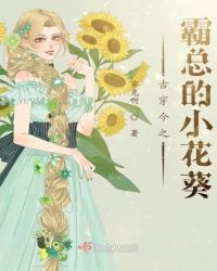 古穿今之霸总的小花葵小说阅读