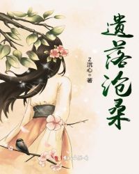 遗落沧桑小说阅读