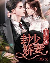 封少娇妻，有孕出逃小说阅读