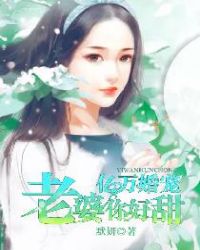 亿万婚宠：老婆，你好甜小说阅读