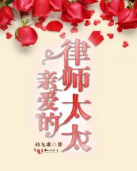 亲爱的律师太太小说阅读