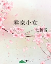 君家小女小说阅读