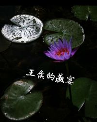 王侯的盛宴小说阅读