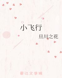 小飞行小说阅读