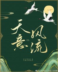 天意风流小说阅读
