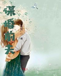 谋婚前夫小说阅读