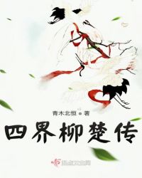 四界柳楚传小说阅读