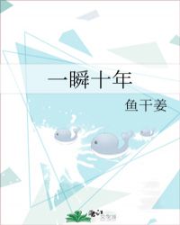 一瞬十年小说阅读