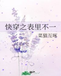 快穿之表里不一小说阅读