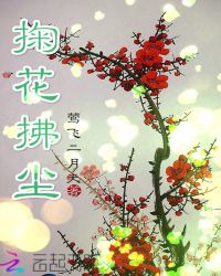 掬花拂尘小说阅读