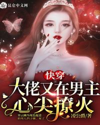 快穿大佬又在男主心尖撩火小说阅读