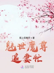魅世魔尊追妻忙小说阅读
