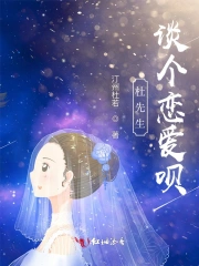 杜先生谈个恋爱呗小说阅读