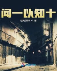 闻一以知十小说阅读