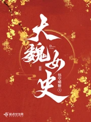 大魏女史小说阅读