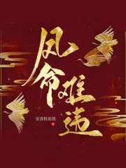 凤命难违小说阅读