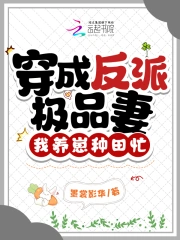 穿成反派极品妻，我养崽种田忙小说阅读