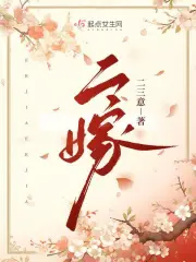 二嫁小说阅读