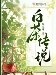 白茶传说小说阅读