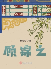 顾锦之小说阅读