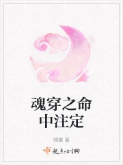 魂穿之命中注定小说阅读