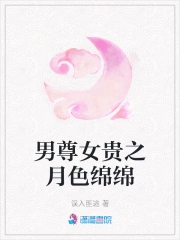 男尊女贵之月色绵绵小说阅读