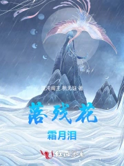 落残花霜月泪小说阅读