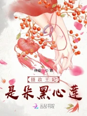 摄政王妃是朵黑心莲小说阅读