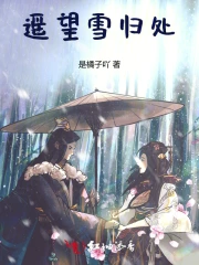 遥望雪归处小说阅读