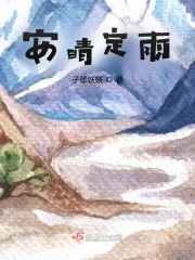 安晴定雨小说阅读