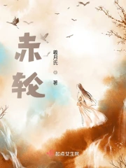赤轮小说阅读