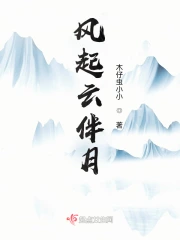 风起云伴月小说阅读