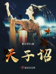 天子诏小说阅读