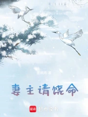 妻主请饶命小说阅读