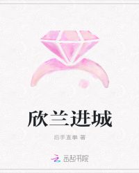 欣兰进城小说阅读